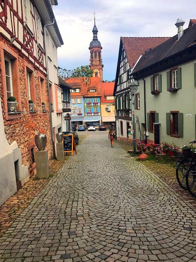 Blackforest Nahe Europapark Rust Apartment Gengenbach